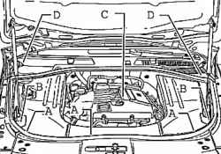 Fixing caps plenum chamber