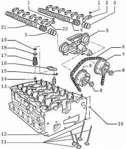 The components of the distribution mechanism