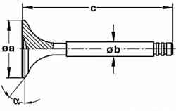 Dimensions of the intake valve