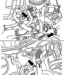 Hoses Engine Cooling