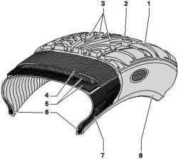 The cross section of the radial tire