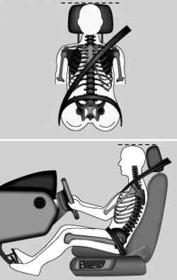 The correct position of the head restraint and seat belt