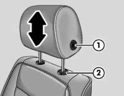 Adjusting and removing the head restraints